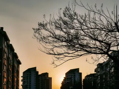 MegaReel Casino App Mobile